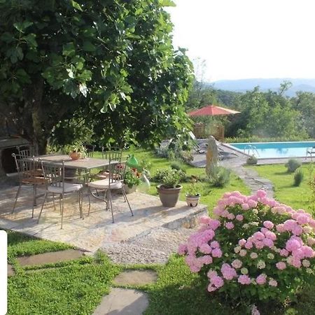 Villa Mavrici, Neighbors Free بوزت المظهر الخارجي الصورة